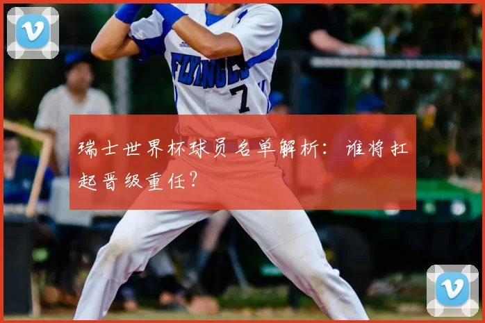 瑞士世界杯球员名单解析:谁将扛起晋级重任?