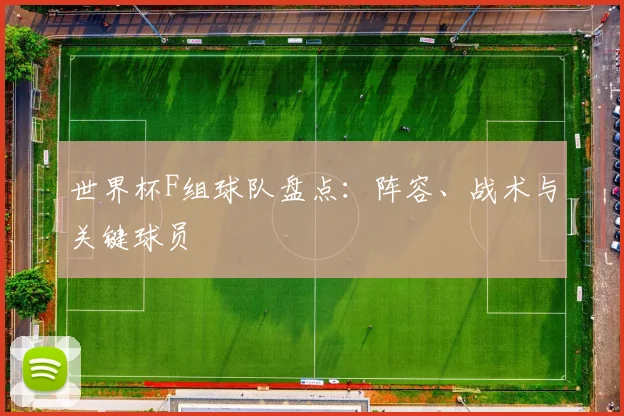世界杯F组球队盘点:阵容、战术与关键球员