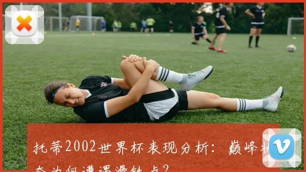 托蒂2002世界杯表现分析：巅峰状态为何遭遇滑铁卢？