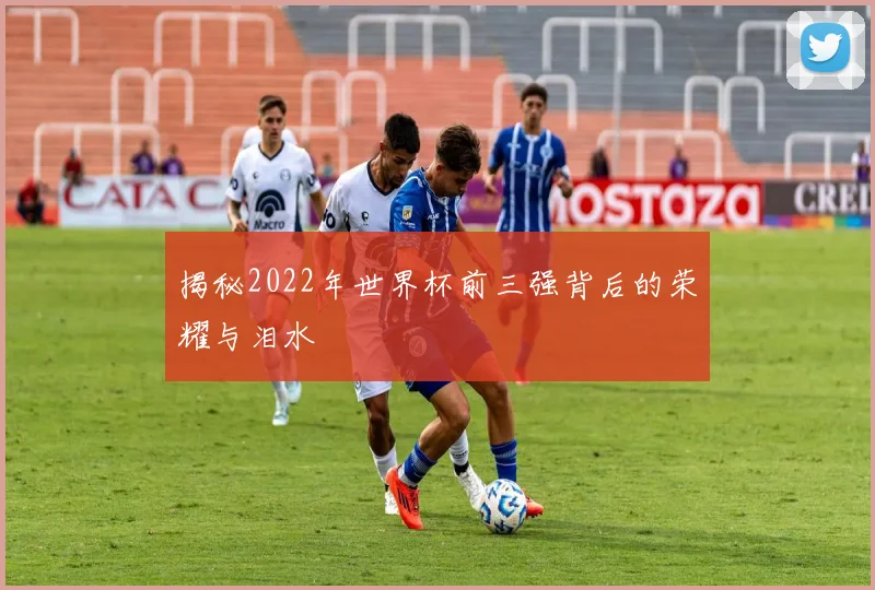 揭秘2022年世界杯前三强背后的荣耀与泪水