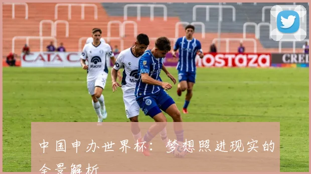 中国申办世界杯:梦想照进现实的全景解析