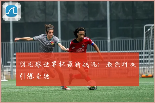 羽毛球世界杯最新战况：激烈对决引爆全场
