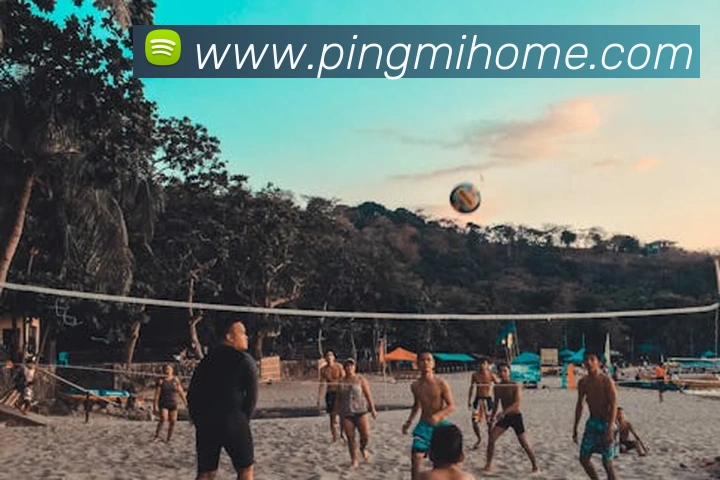 九州体育娱乐官网服务体系